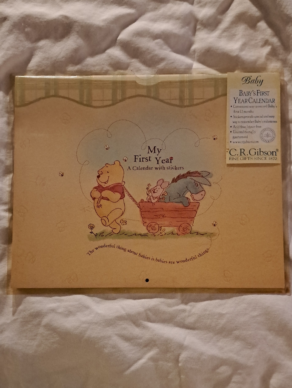 C.R. Gibson Winnie the Pooh "My First Year" Baby Calendar - Cream & Pastel